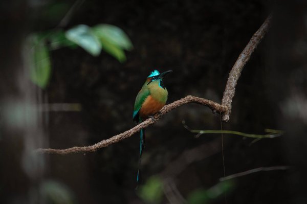 Comment développer sa confiance en soi ?